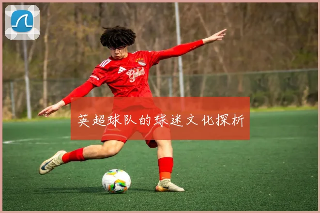 英超球队的球迷文化探析