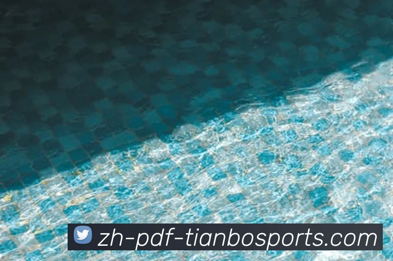 推荐关注的德甲球队及其未来发展前景